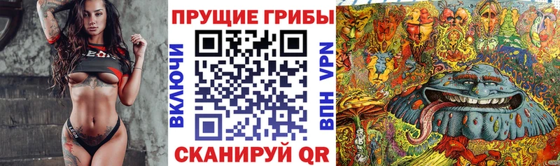 наркота  мега ссылки  Псилоцибиновые грибы GOLDEN TEACHER  Белебей 