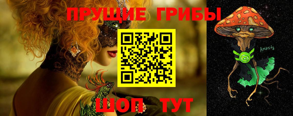 Псилоцибиновые грибы Psilocybine cubensis Белебей
