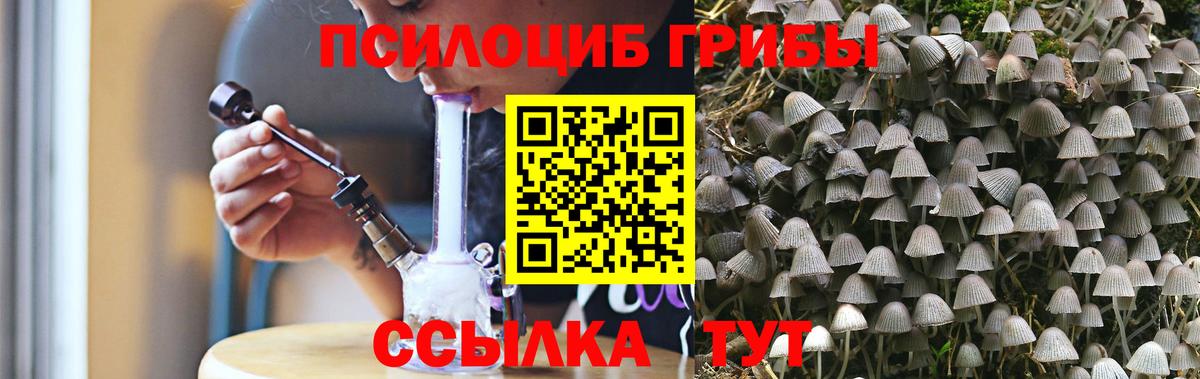Галлюциногенные грибы Cubensis  Вход с VPN  Псилоцибиновые грибы GOLDEN TEACHER  Белебей 